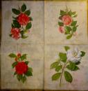 125 Rosen - 3-lagig (creme) - Ihr